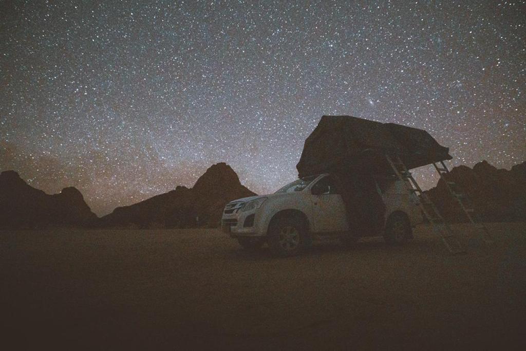 Night under the Stars